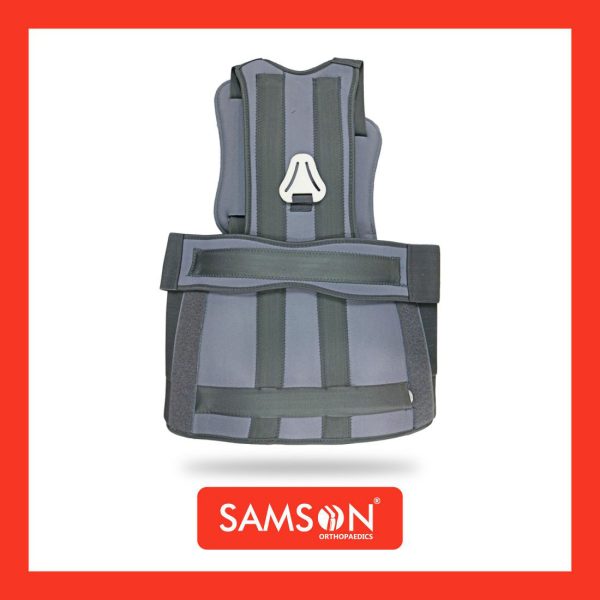 Taylor Brace Samson LS-0408 Taylor Brace Samson LS-0408